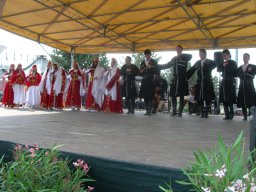 Milano 2008